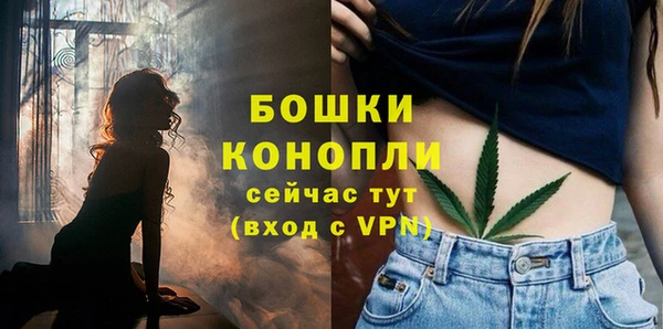 apvp Белокуриха